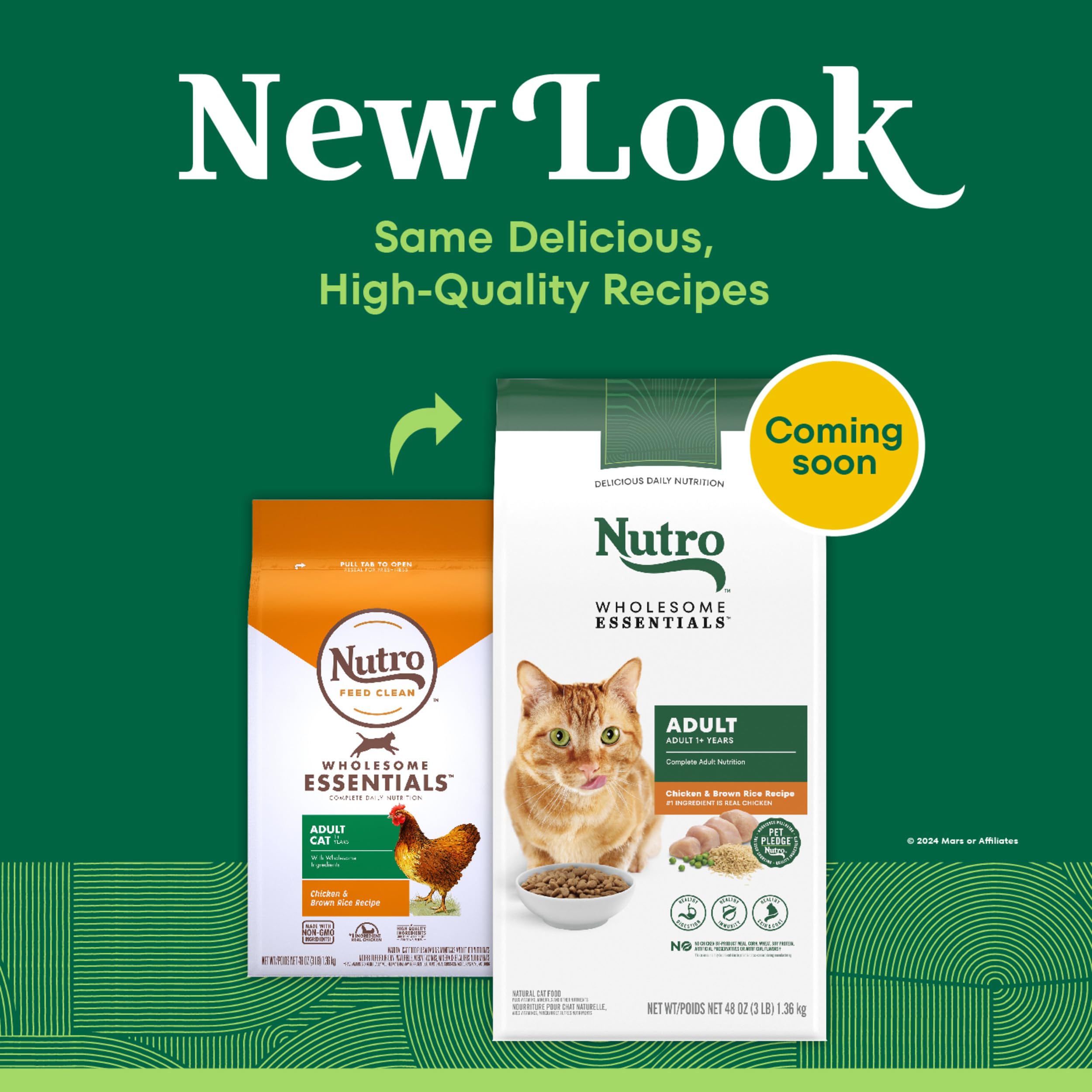 Nutro Wholesome Essentials cat kibble with chicken-brown-rice closeup promotes healthy coat.