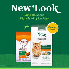 Nutro Wholesome Essentials cat kibble with chicken-brown-rice closeup promotes healthy coat.