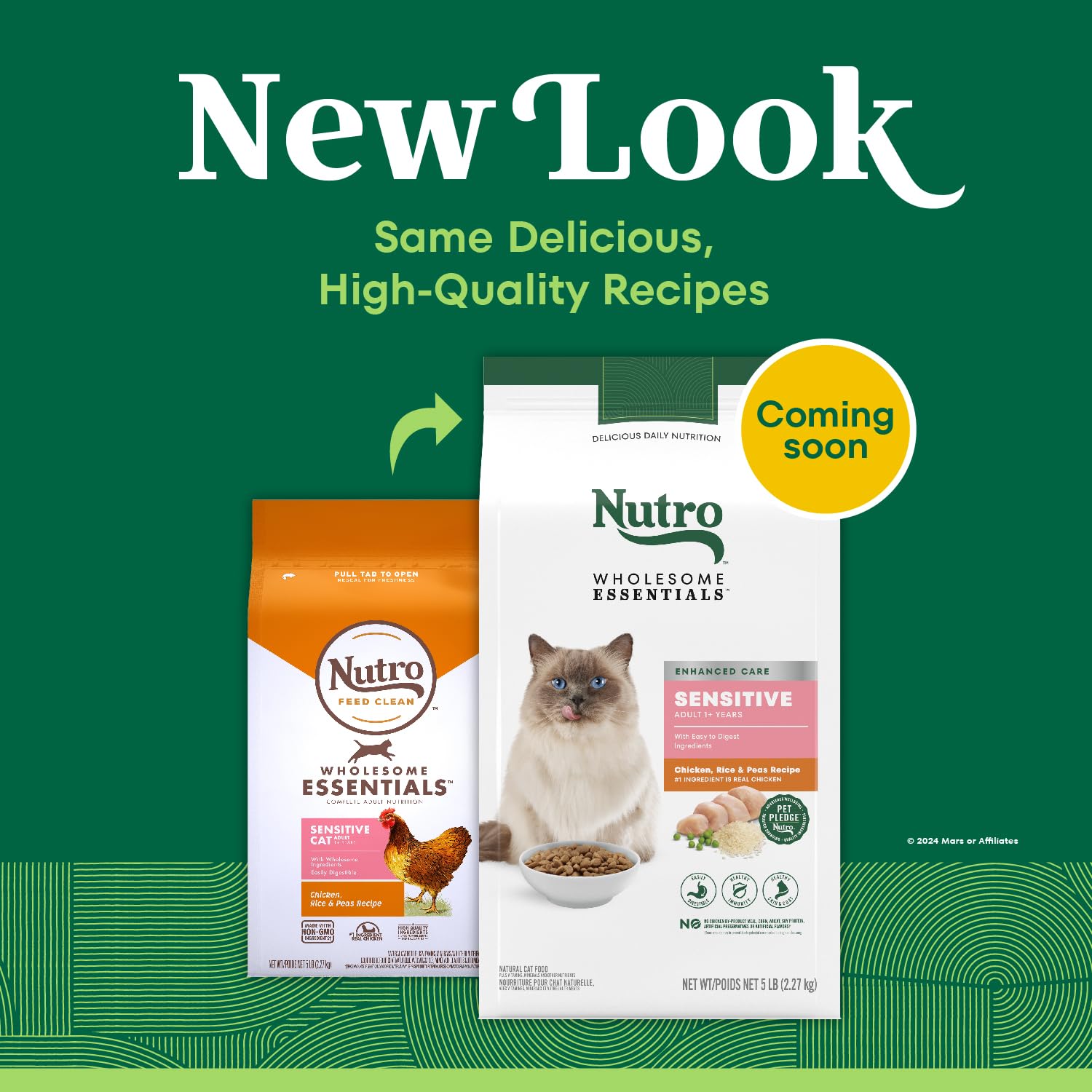 Nutro Wholesome Essentials chicken ingredient closeup supports protein-rich nutrition with real chicken.