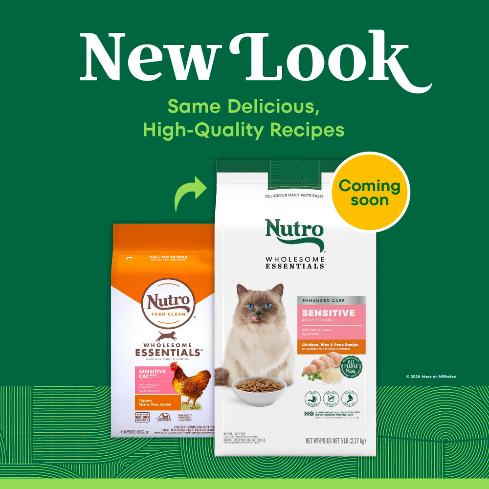 Nutro Wholesome Essentials chicken ingredient closeup supports protein-rich nutrition with real chicken.