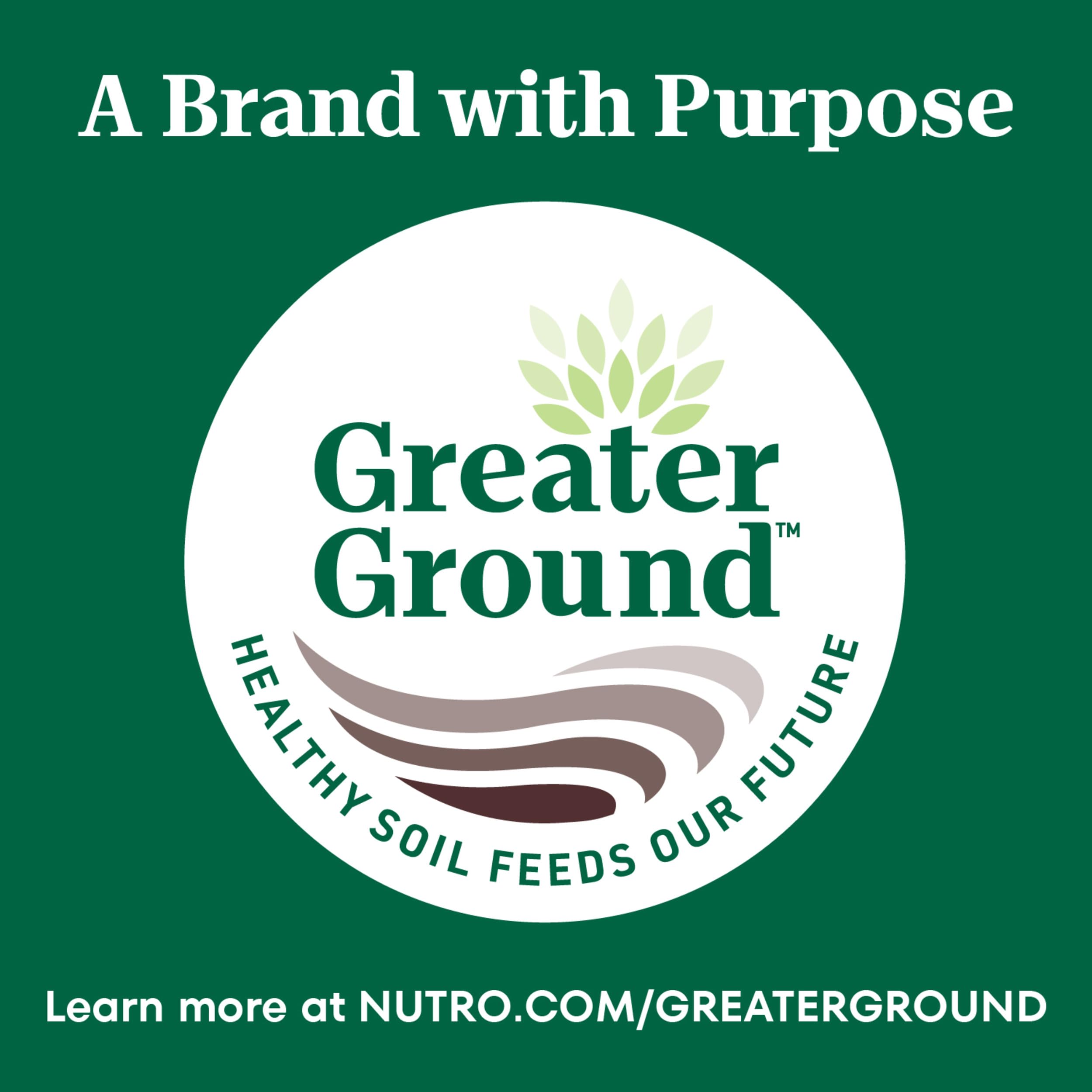 Nutro Wholesome Essentials Indoor Cat Food indoor-cat energy and vitality support.