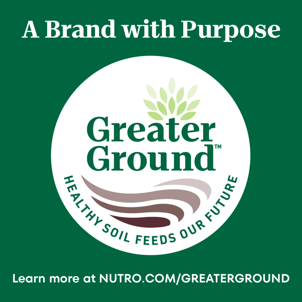 Nutro Wholesome Essentials Indoor Cat Food indoor-cat energy and vitality support.