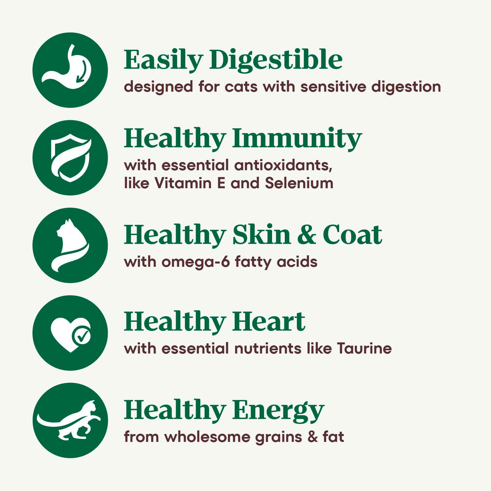 Nutro Wholesome Essentials omega-6 rich formula for healthy skin and coat.