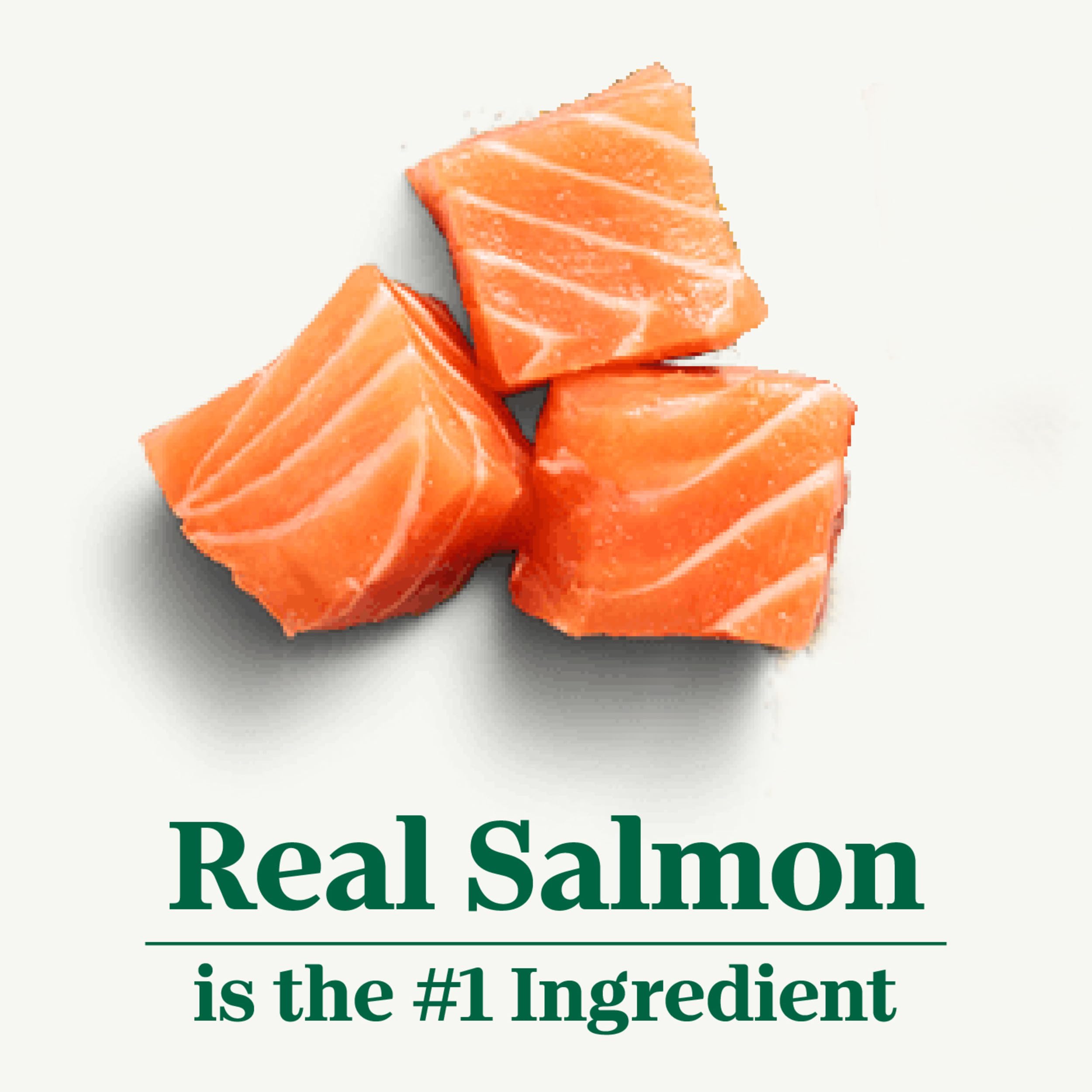 Nutro Wholesome Essentials real salmon first ingredient highlights quality protein.