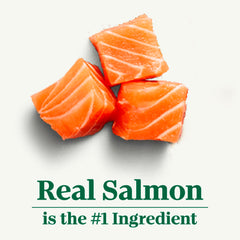 Nutro Wholesome Essentials real salmon first ingredient highlights quality protein.