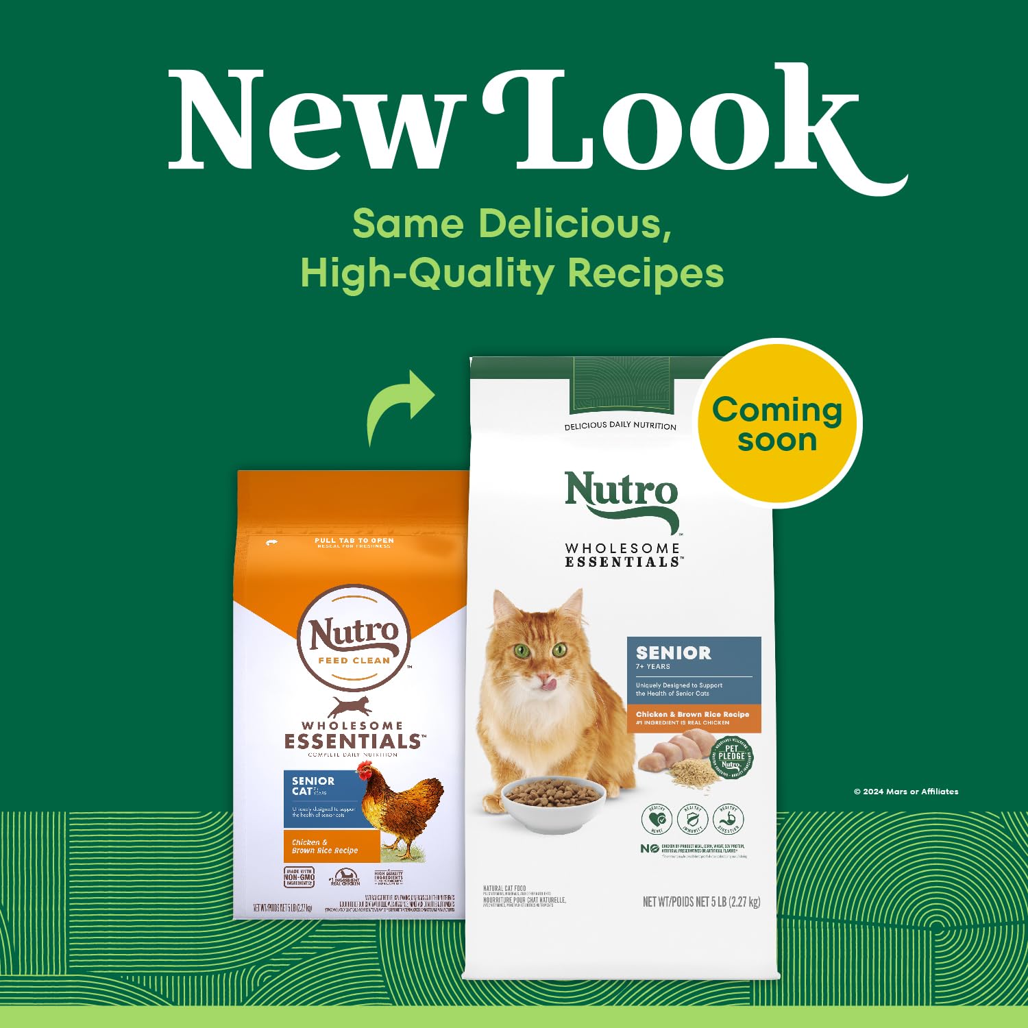 Close-up of Nutro senior cat kibble with brown rice for balanced nutrition