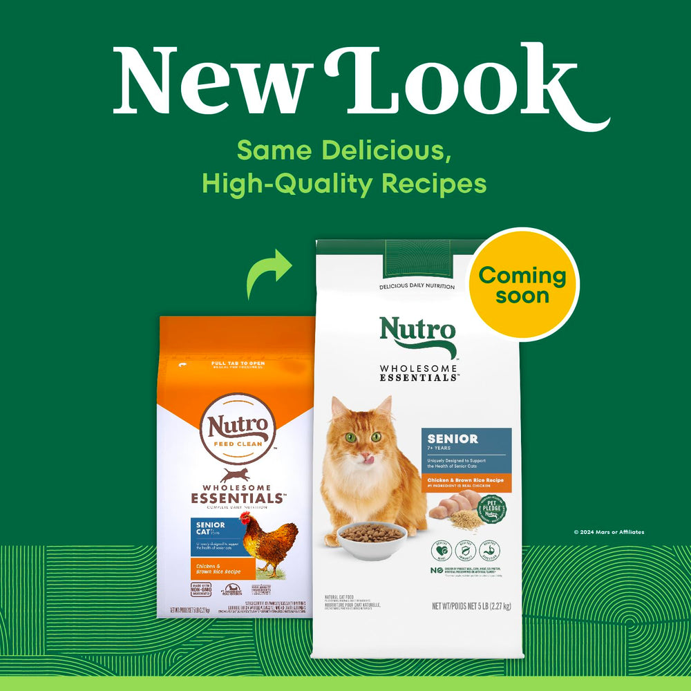 Close-up of Nutro senior cat kibble with brown rice for balanced nutrition