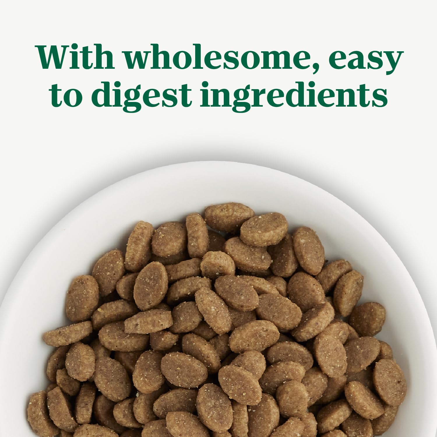 Nutro Wholesome Essentials serving scoop with 5 lb bag.