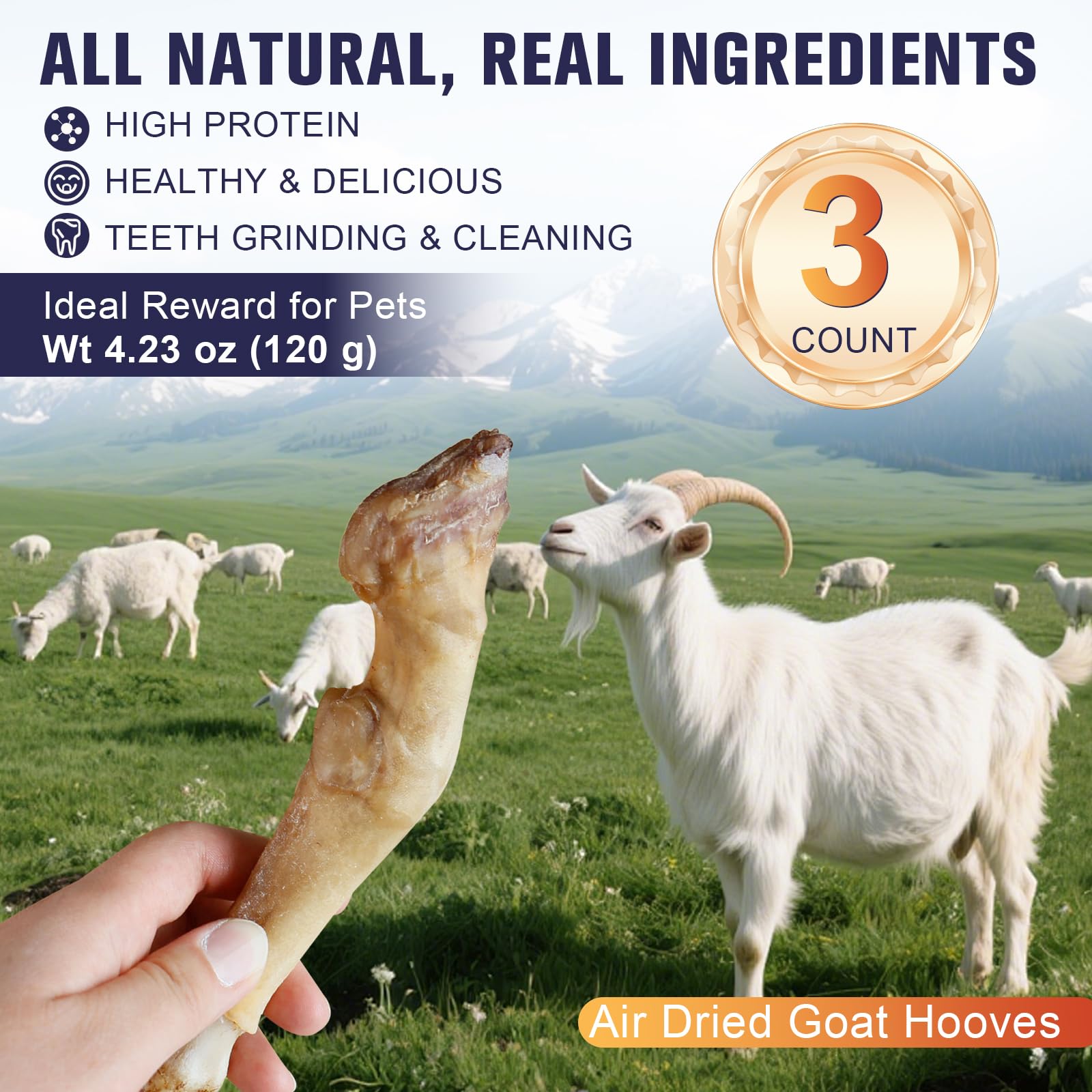 Nuvica Goat Hoof chew close-up texture for durable bites
