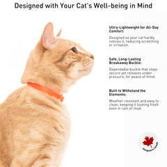 Nuvuq 5-pack breakaway cat collar blue close-up features built-in ID ring for easy ID.