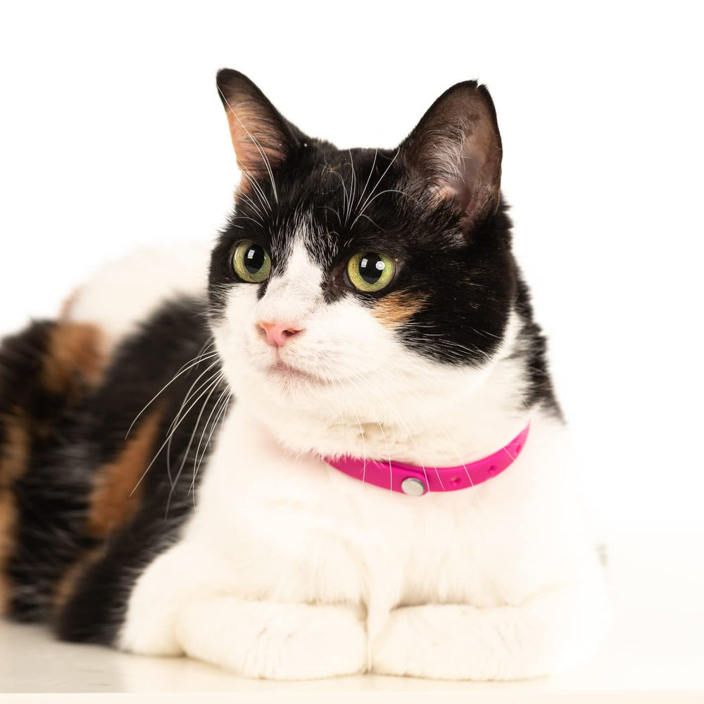 Nuvuq 5-pack breakaway cat collar orange adjustable-length close-up showcases size customization.