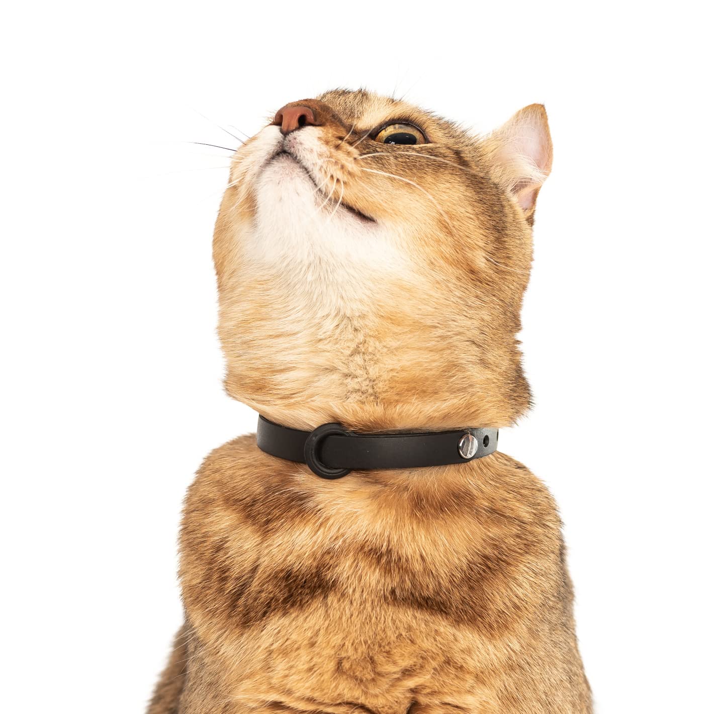 Nuvuq 5-pack breakaway cat collar pack and colors showcases value and color choices for outdoors.
