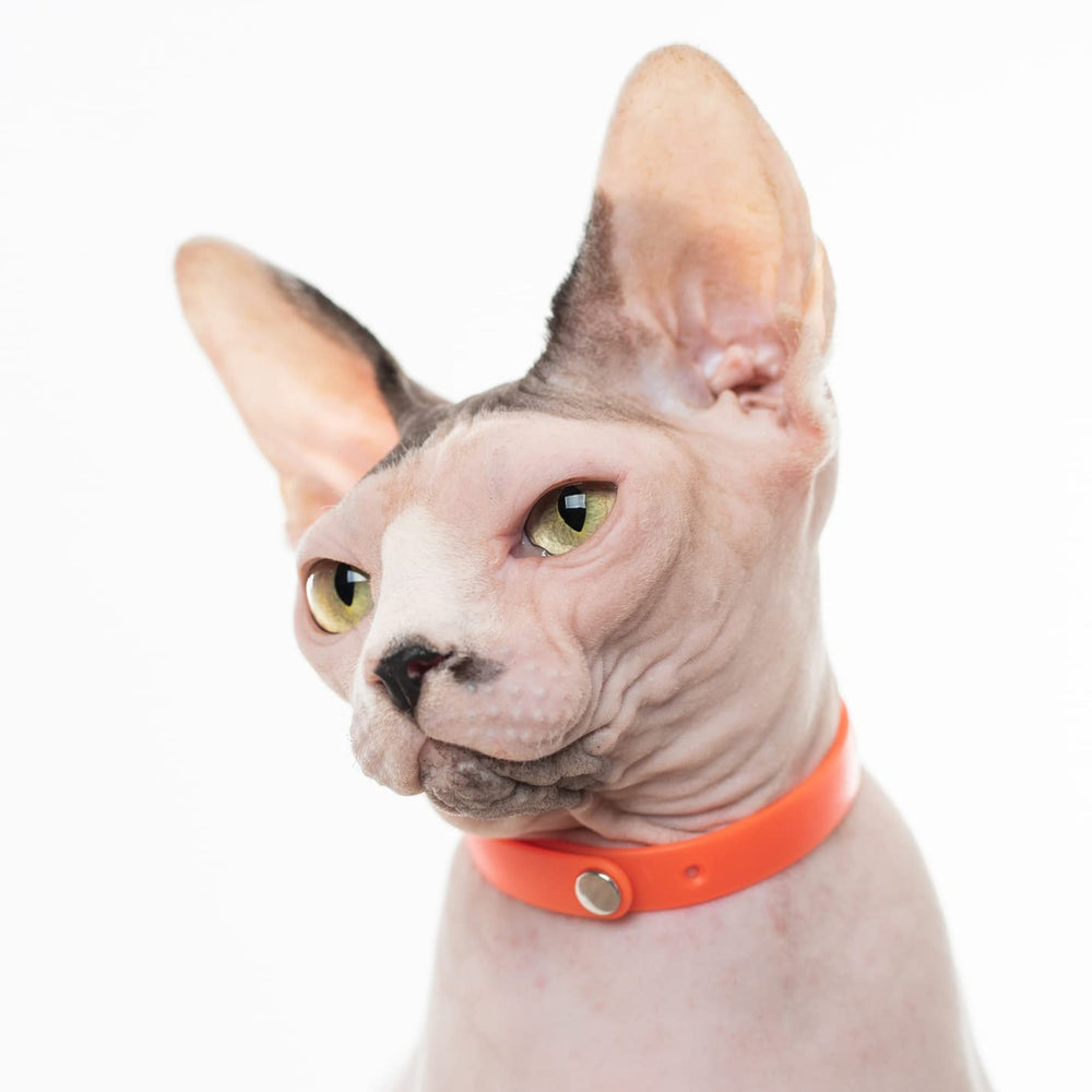Nuvuq 5-pack breakaway cat collar red ID tag ring demonstrates quick tagging option.