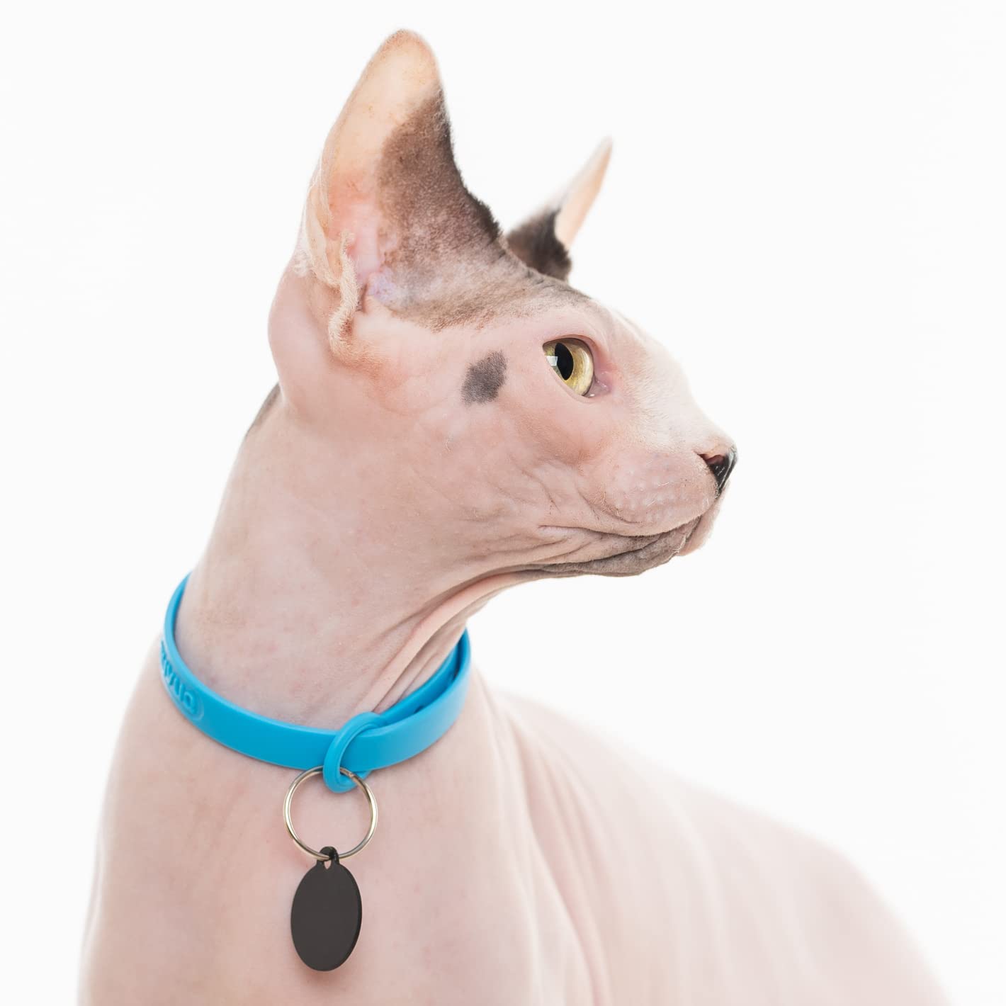 Nuvuq adjustable collar length from 6 ⅞ to 10 ¼ inches fits growing cats.