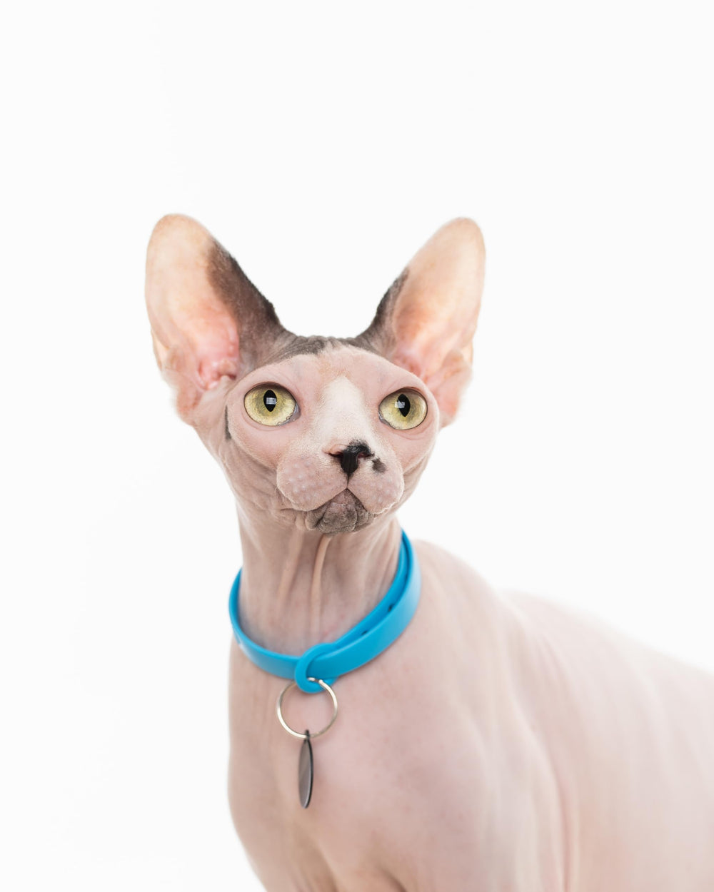Lightweight Nuvuq collar minimizes irritation on sensitive skin
