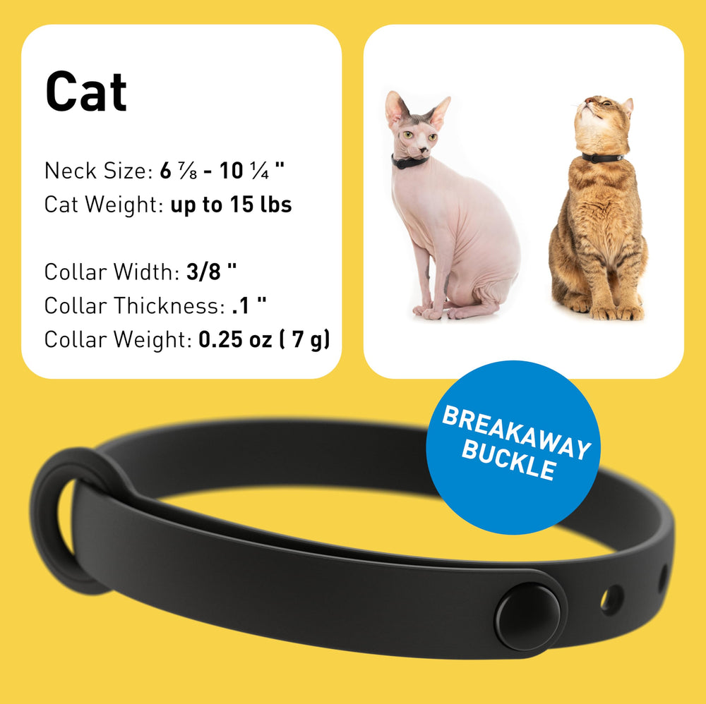 Nuvuq silicone cat collars emphasize lightweight comfort for kittens and sensitive skin.