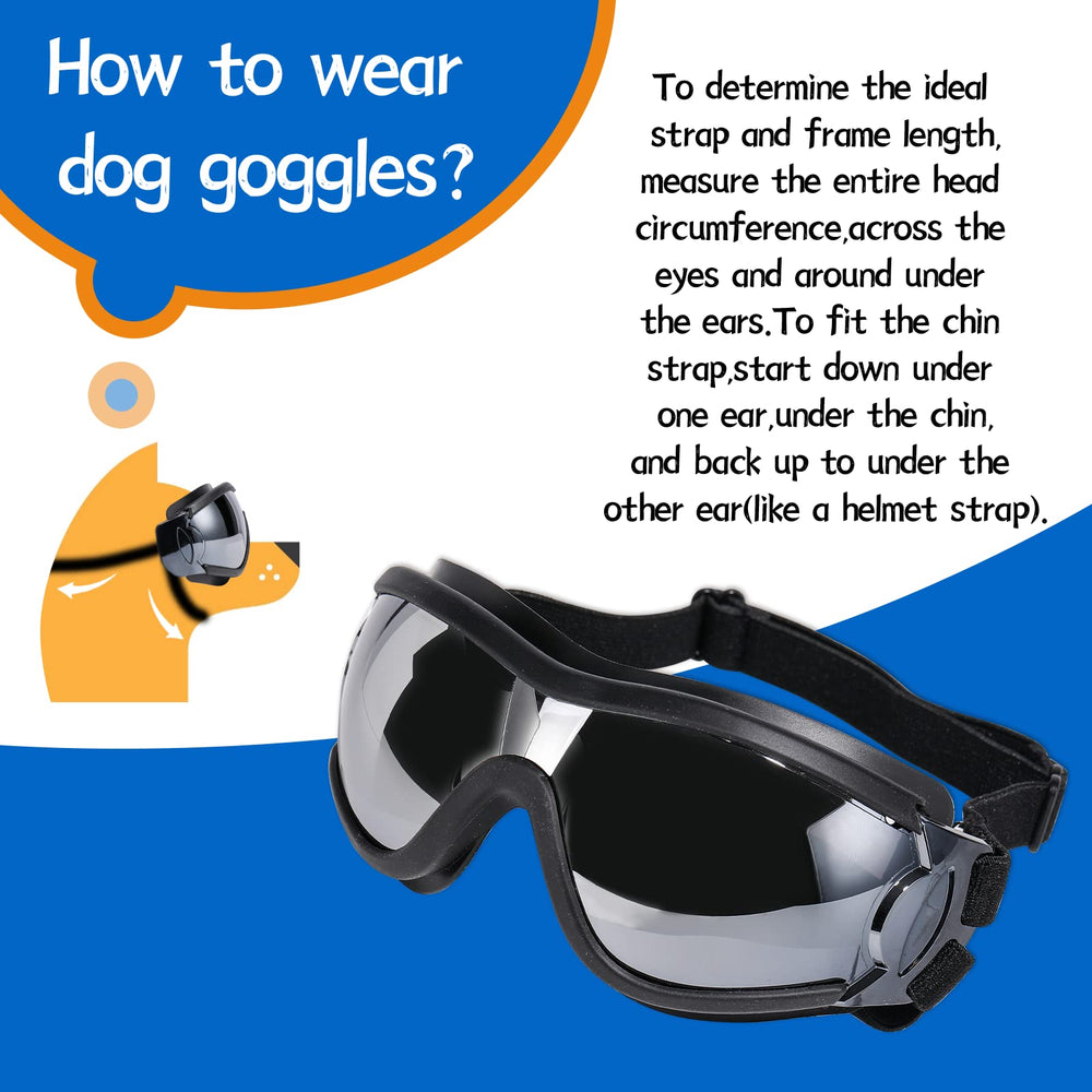 NVTED dog eyewear adds a stylish look for outdoor adventures