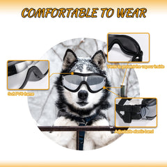 NVTED dog goggles provide wind and dust protection during walks