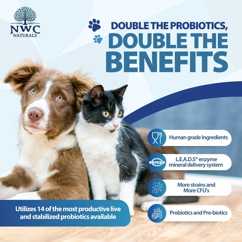 Cat-friendly Total-Biotics powder mixed into meals for digestion.