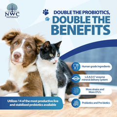 Cat-friendly Total-Biotics powder mixed into meals for digestion.