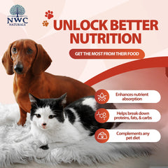 NWC Naturals Total-Zymes measuring spoon for accurate pet enzyme dosing