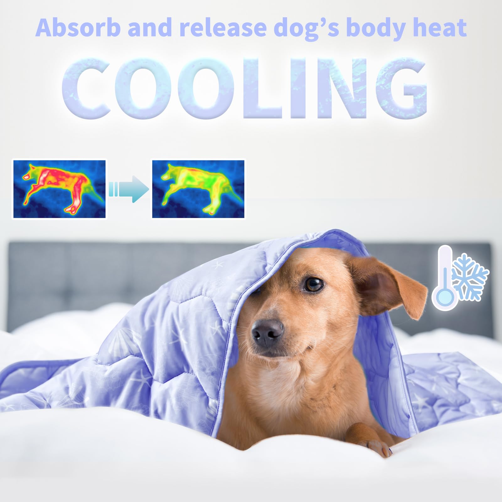 NWK cooling blanket cozy surface on furniture helps protect sofas.