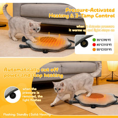 Nxwjoy heated pet bed 22x22 demonstrates rapid warming.