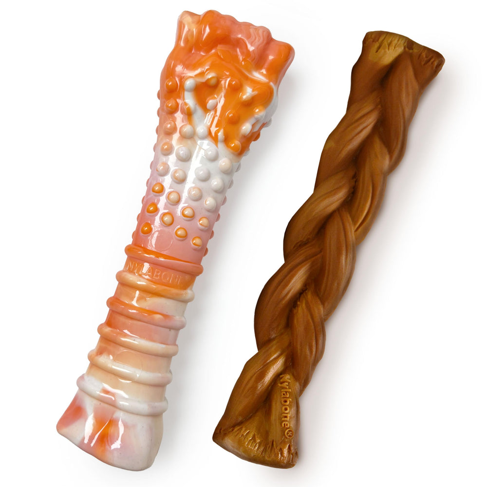 Nylabone 70th birthday textured knuckle bone with orange-white swirl for long-lasting chewing