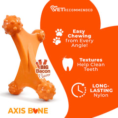 Nylabone Axis Bone designed for aggressive chewers with strong jaws