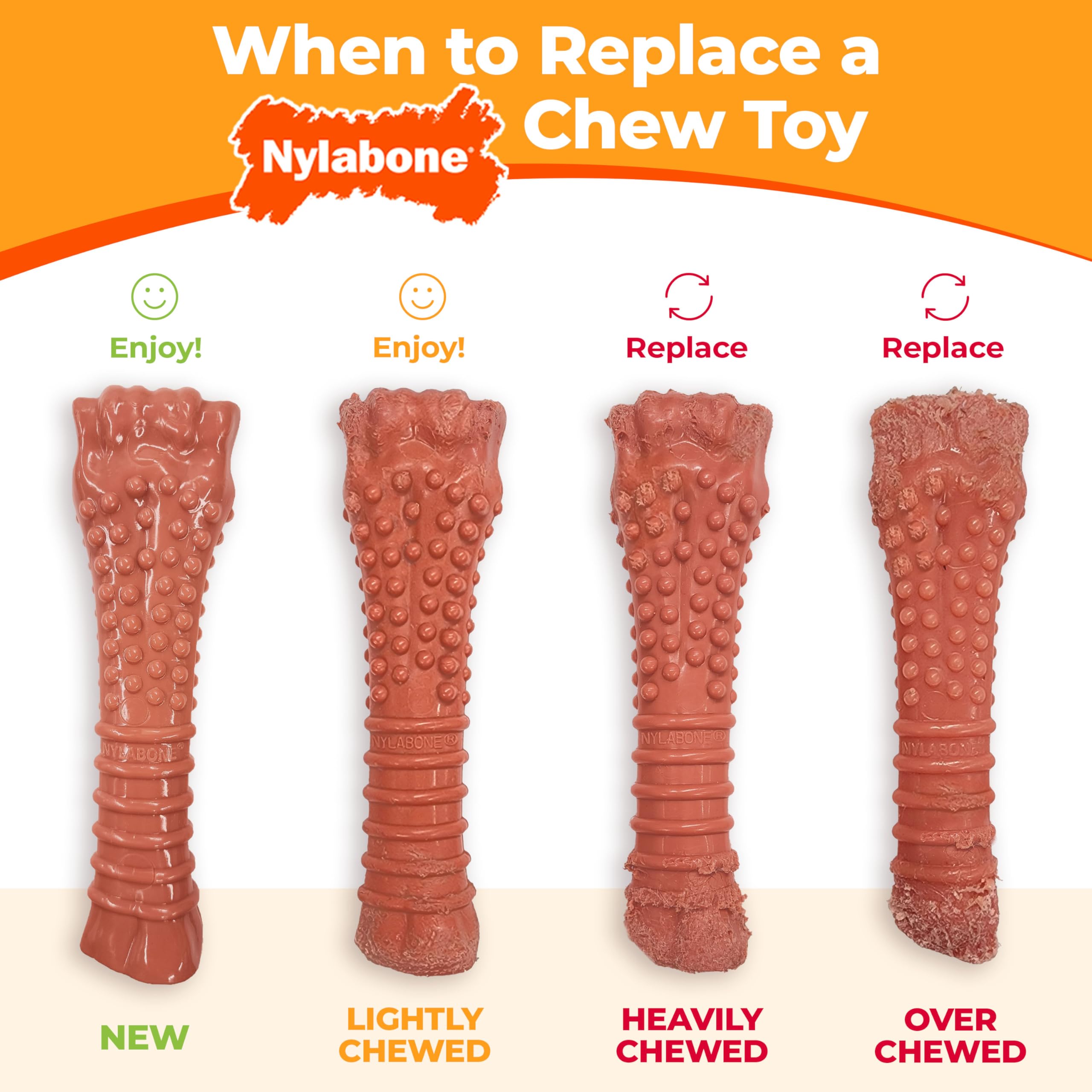 Nylabone Axis Bone supports long-lasting chewing and fresh breath cues