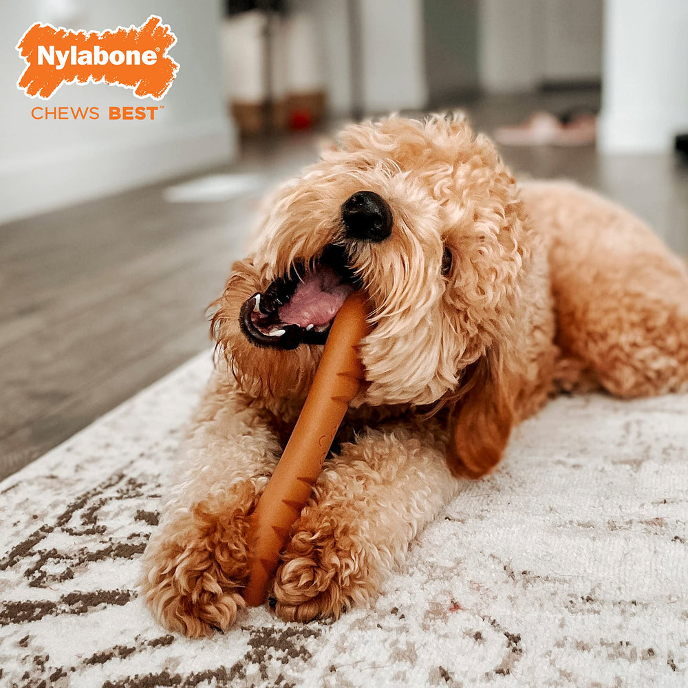 Nylabone baguette power chew toy helps discourage destructive chewing.