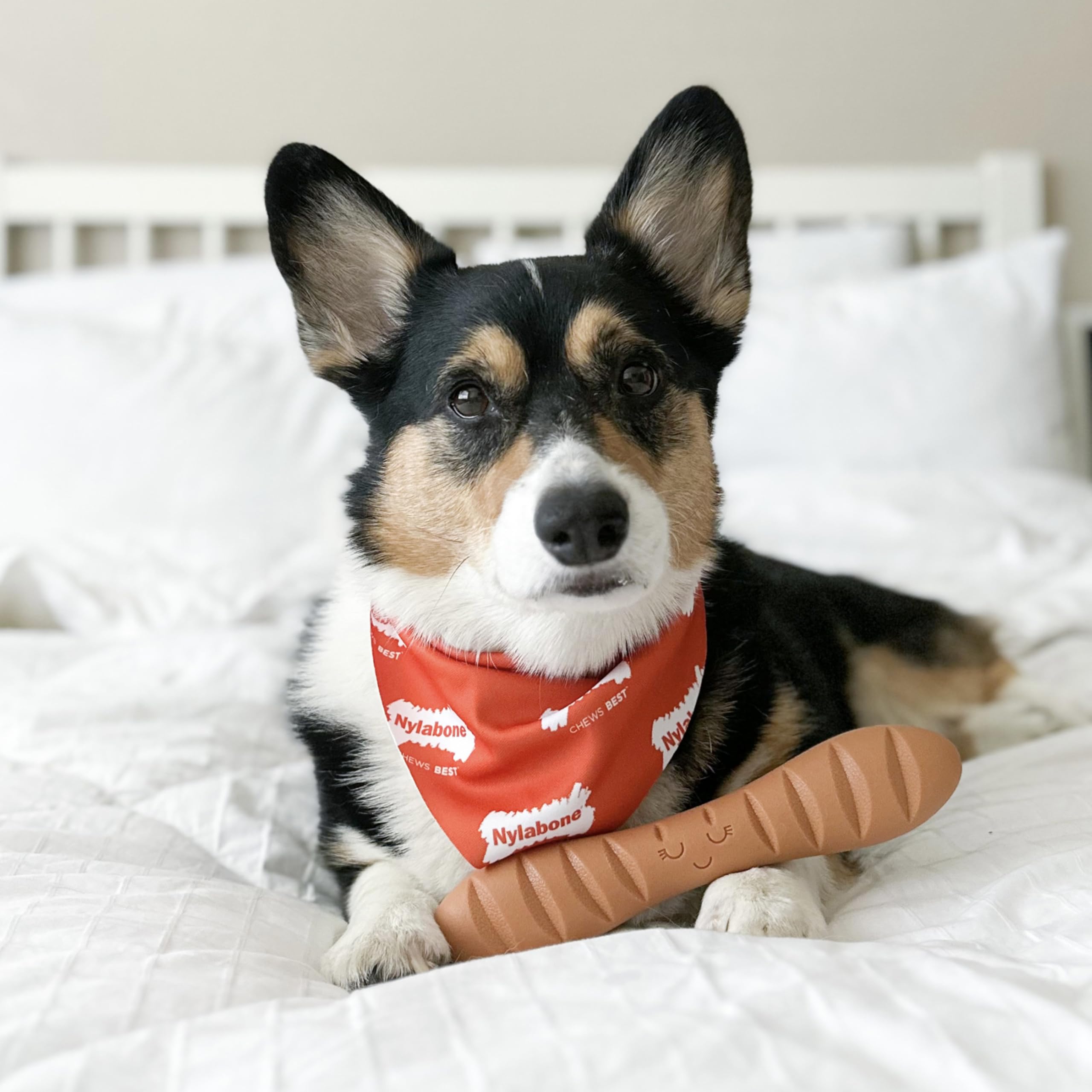 Nylabone Baguette Power Chew Toy shows textured pocket for spreadable treats.