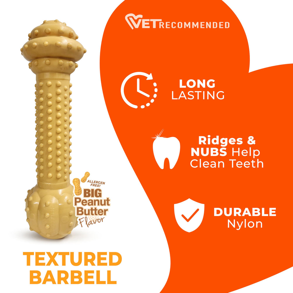 Nylabone Barbell Power Chew Toy designed for aggressive chewers to redirect chewing.