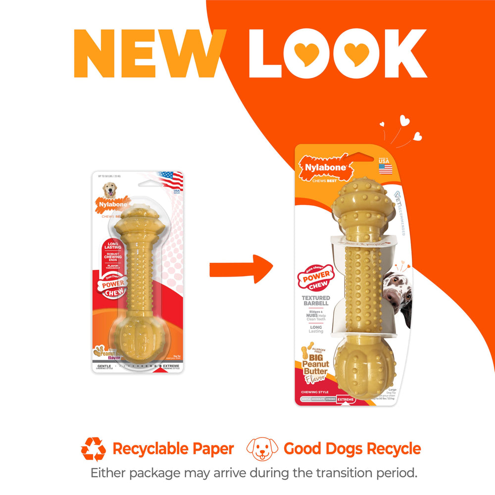 Nylabone Barbell Power Chew Toy durable nylon for aggressive chewers.