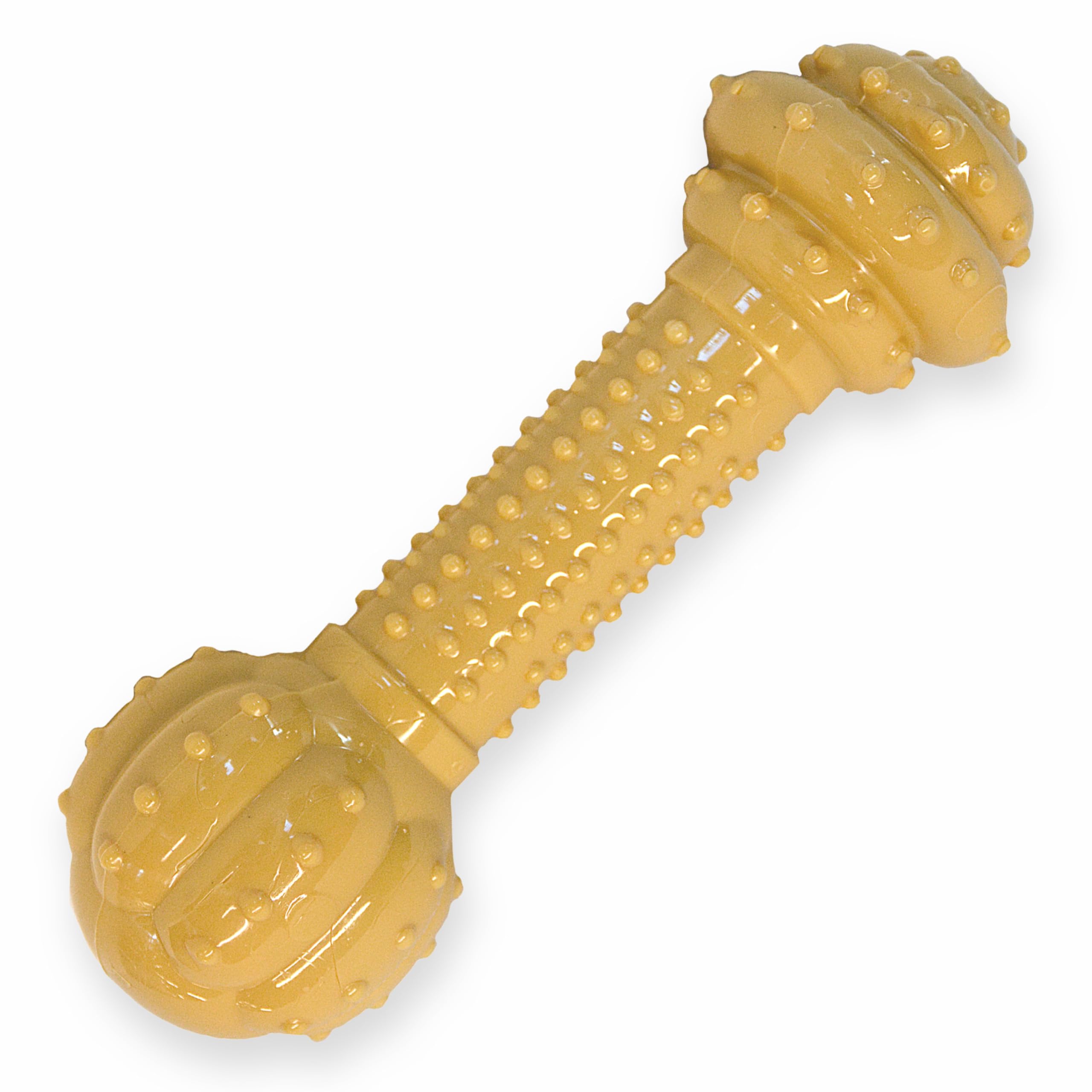 Nylabone Barbell Power Chew Toy with textured ridges for durable chewing and dental cleaning.