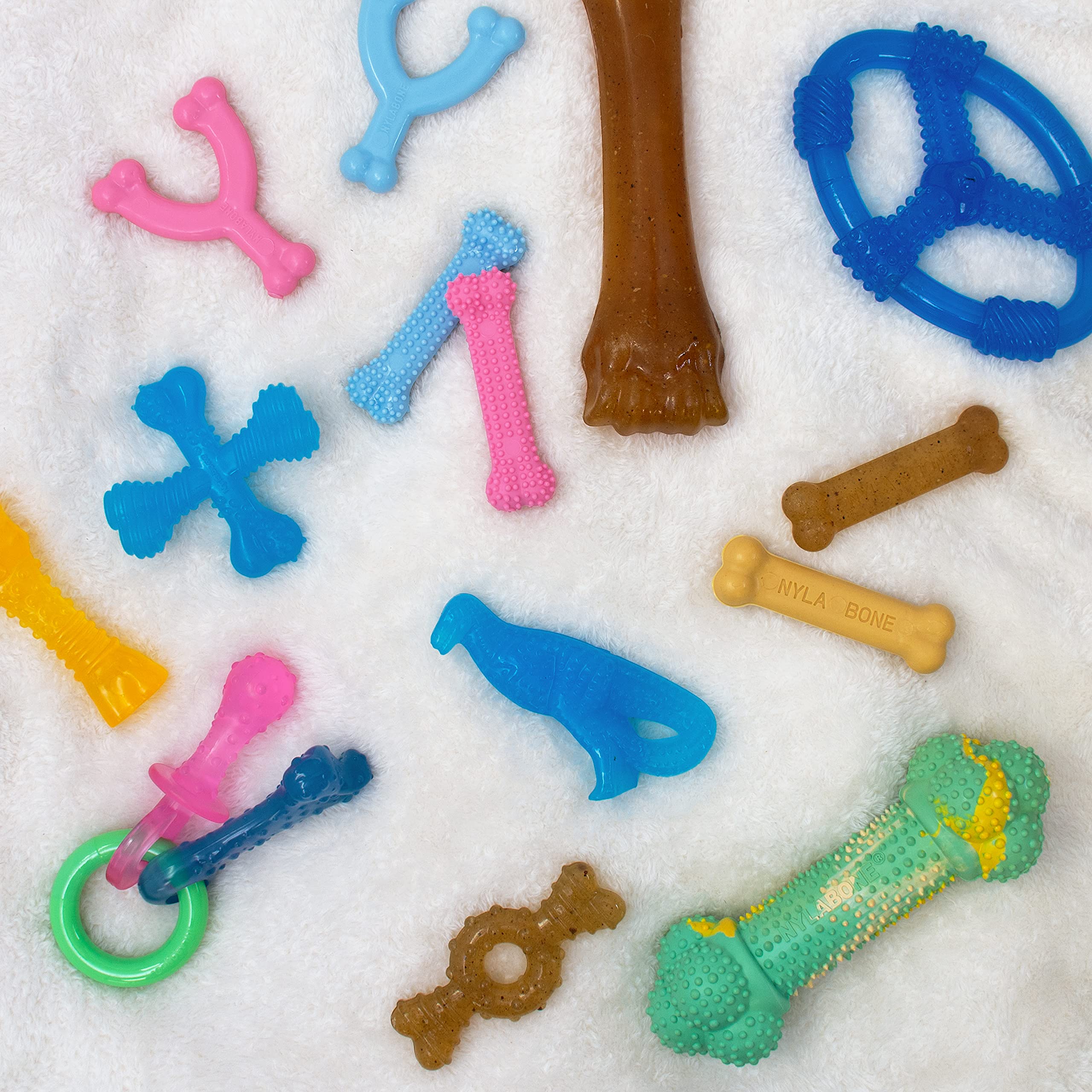 Nylabone Barbell puppy chew toy designed for medium puppies up to 35 lbs.