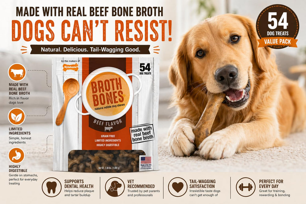 Nylabone Beef Broth Bones dog chewing scene demonstrates savory chew appeal