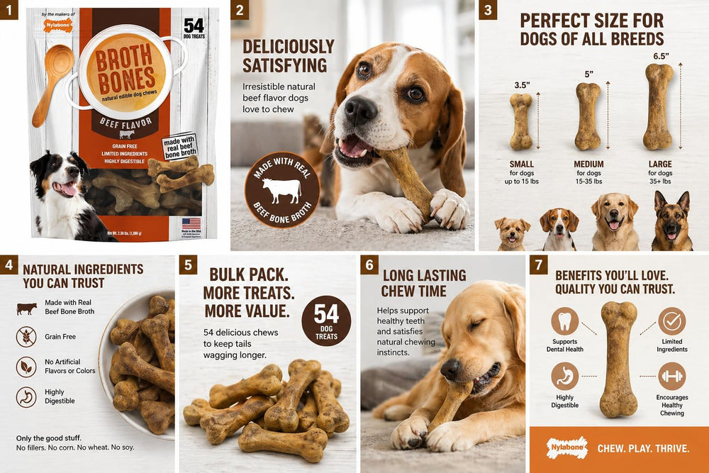 Nylabone Beef Broth Bones grain-free badge signals dietary choice