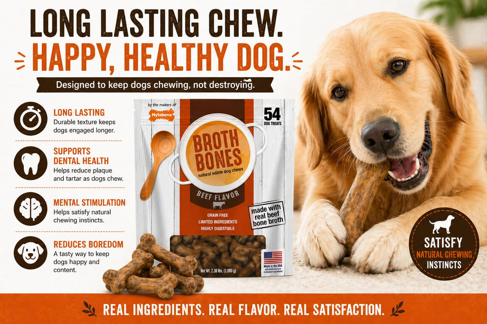 Nylabone Beef Broth Bones close-up texture highlights chew appeal