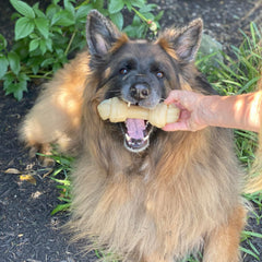 Nylabone big chew ends detail highlighting robust design for powerful chewers