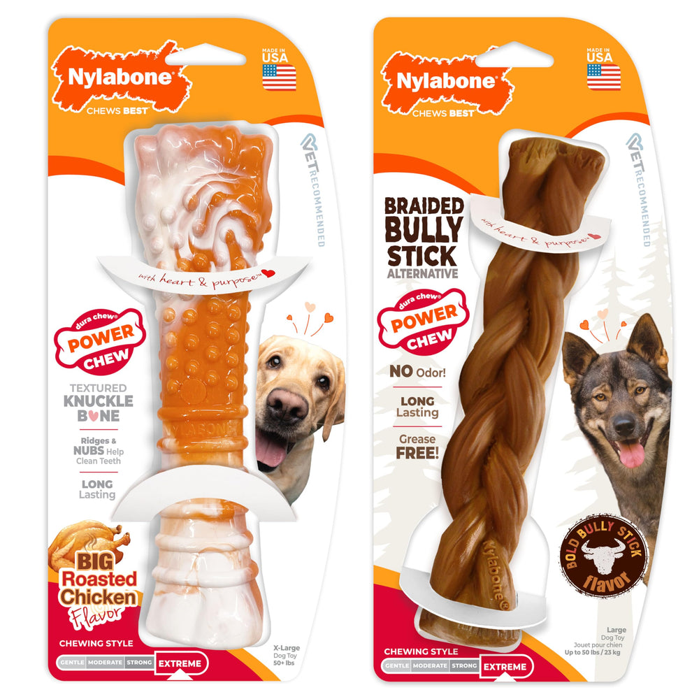 Nylabone braided bully stick alternative for large dogs, clean and safe