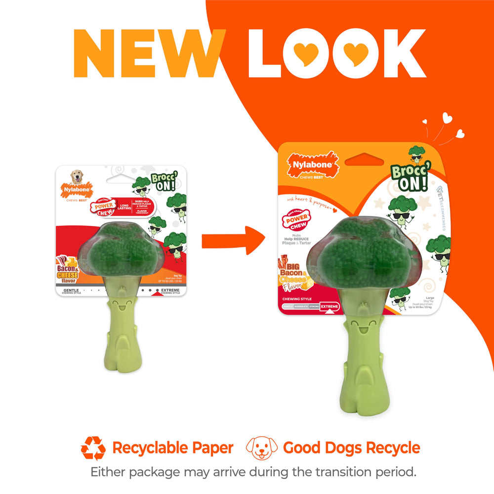 Nylabone broccoli power chew toy bacon cheese flavor for tasty chewing sessions