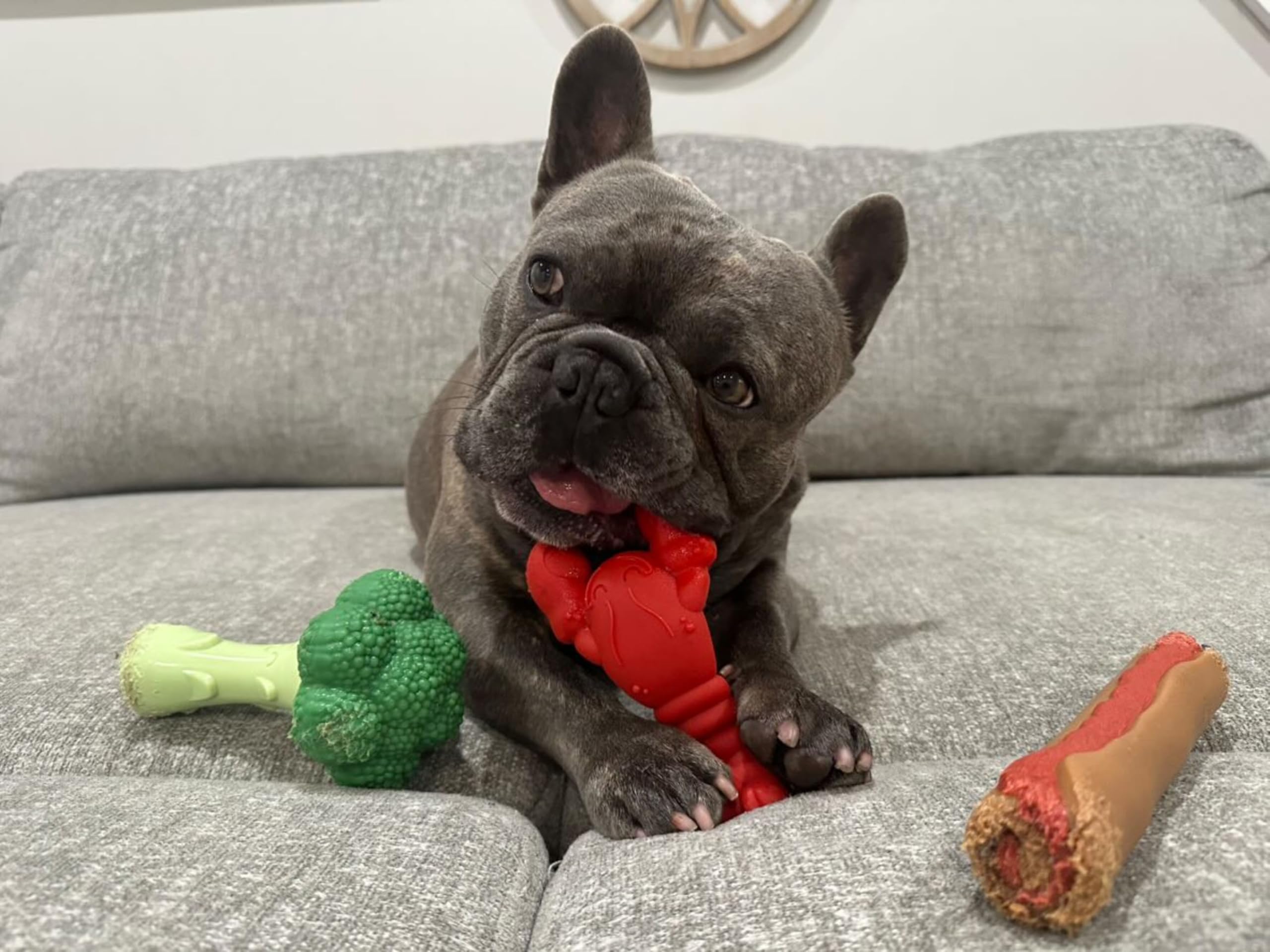 Nylabone broccoli power chew toy savory flavor encourages healthy chewing habits