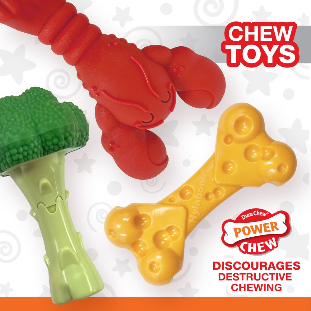 Nylabone Cheese bone chew toy close-up with textured pockets for treats.