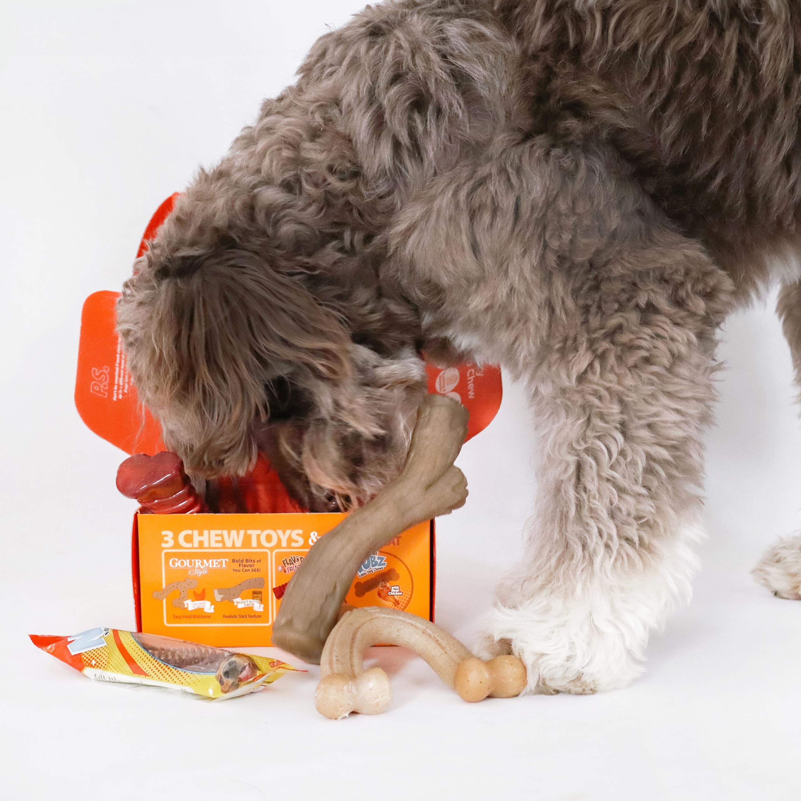 Nylabone chew toy texture variety for satisfying chews.