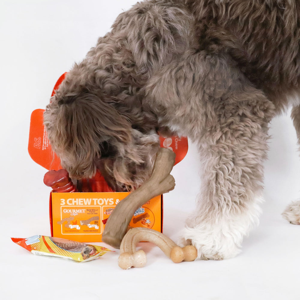 Nylabone chew toy texture variety for satisfying chews.