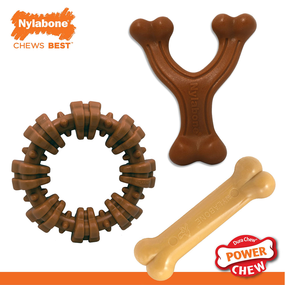 Nylabone Customer Favorites Power Chew highlights trusted chew toys.