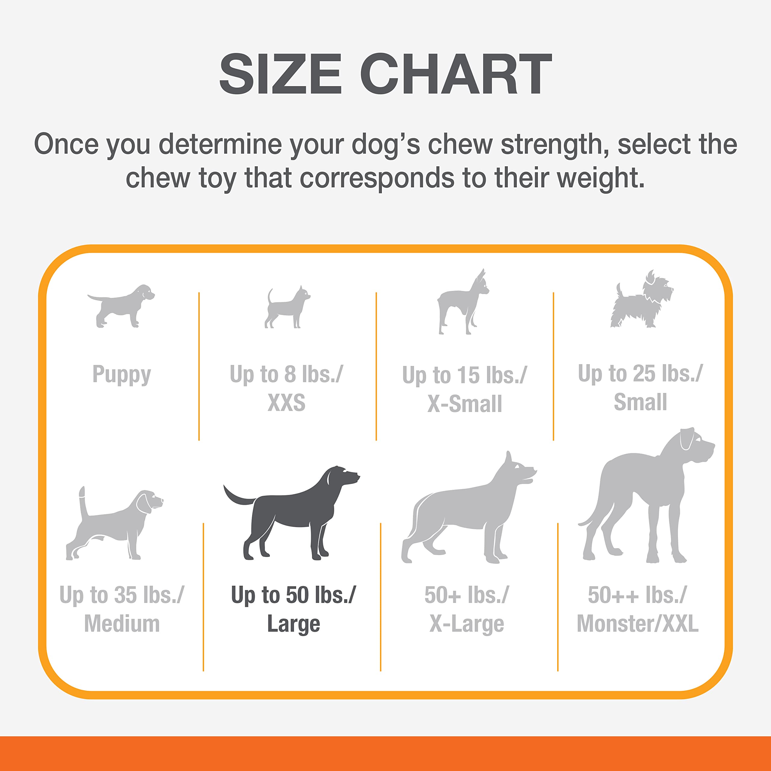 Nylabone dental-health-friendly chew toy for daily use