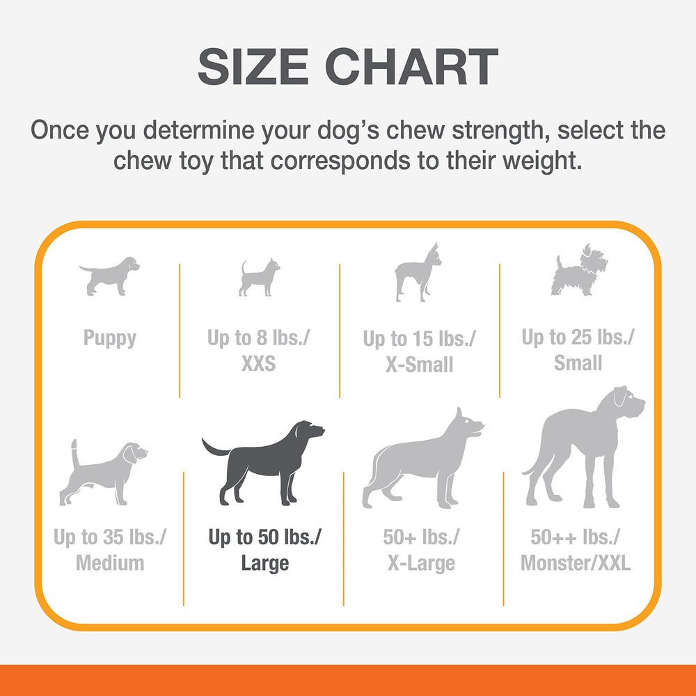 Nylabone dental-health-friendly chew toy for daily use
