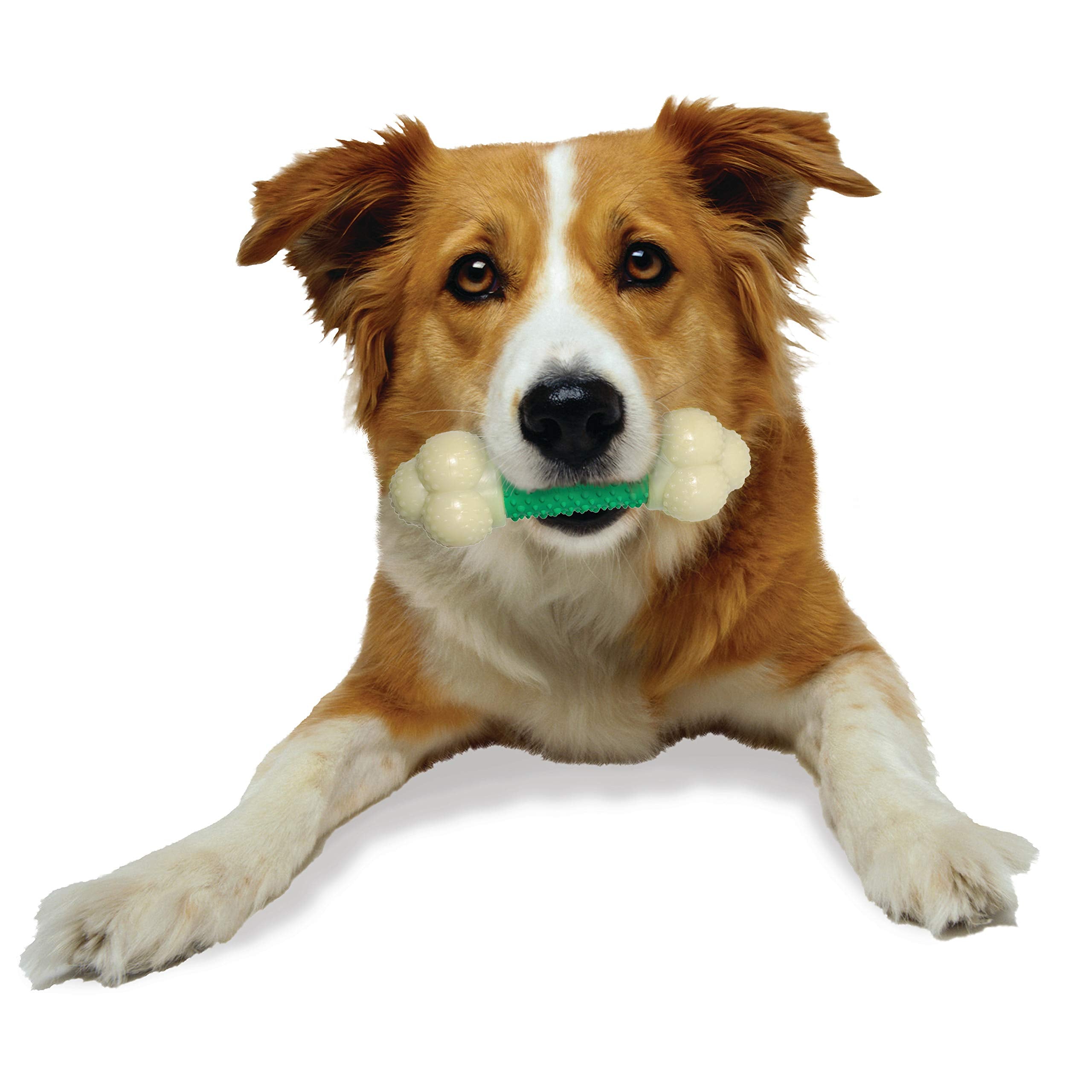 Nylabone dental nubs promote plaque and tartar control during chewing.